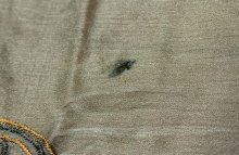 他の写真3: SALE!! ＜M＞パンジャビドレス：クルタ・サルワール　黄土色