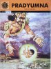 画像1: PRADYUMNA  Son of Krishuna ＜クリックポストOK＞ (1)