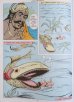 画像3: PRADYUMNA  Son of Krishuna ＜クリックポストOK＞