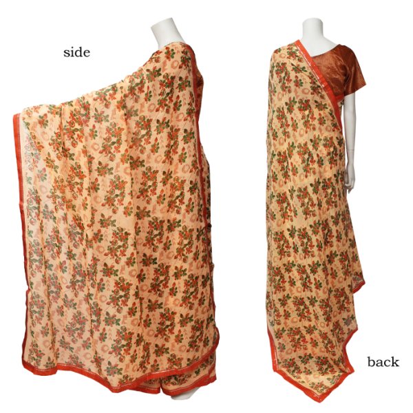 画像2: サリー：オレンジ系