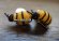 画像3: ネパールブローチ：ごきげんミツバチ (3)