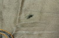 画像3: SALE!! ＜M＞パンジャビドレス：クルタ・サルワール　黄土色